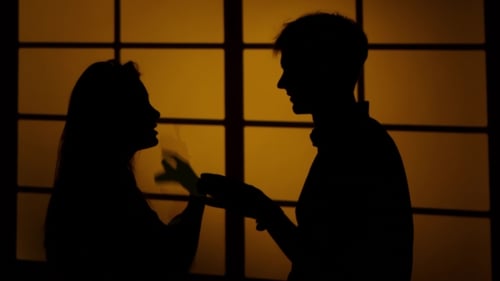 Couple Arguing At Home. Silhouette.