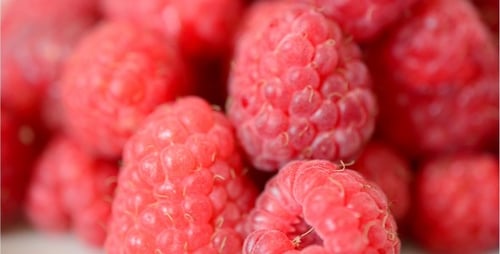 Vibrant Red Raspberries in a Delicious Close Up