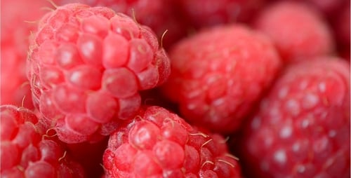 Raspberry 2