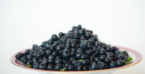 Myrtille 5