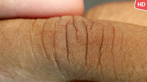 Extreme Close Up of Human Finger