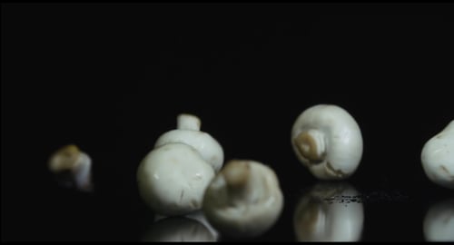 Mushrooms Falling In