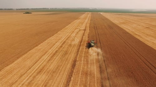 Aerial View Of Wheat Harvesting Shearers In
