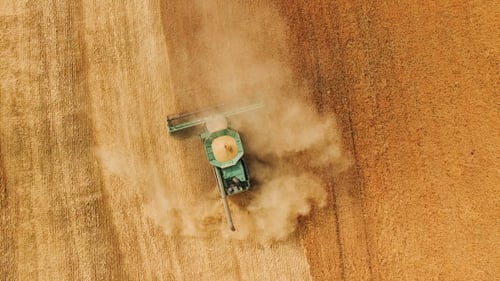 Aerial View Of Wheat Harvest With Modern Combine In Fields In