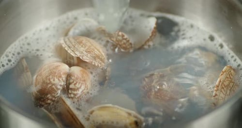 Cuisson des coquilles de vongole dans de l'eau bouillante à la vapeur chaude.