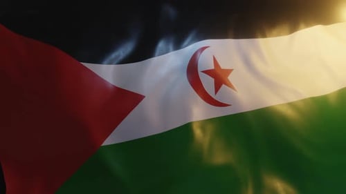 Western Sahara Flag