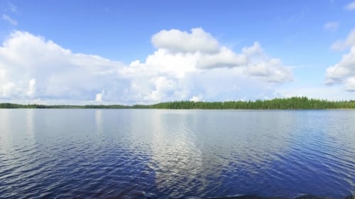 Wolke über dem Waldsee