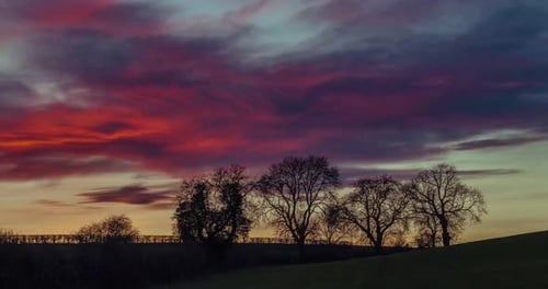Baum-Silhouetten mit schönen Sonnenuntergangswolken Zeitraffer