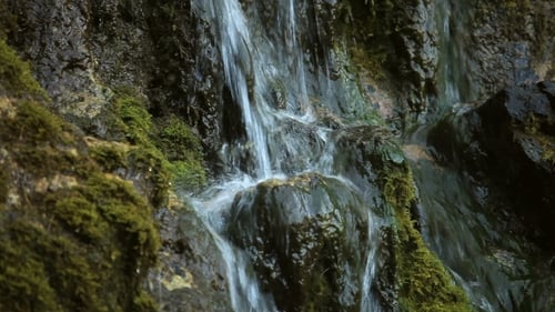 Wasserfall im Herbstwald