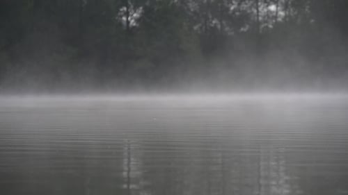 Morgennebel über dem See