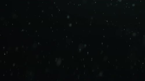 Floating Particles on Black Background