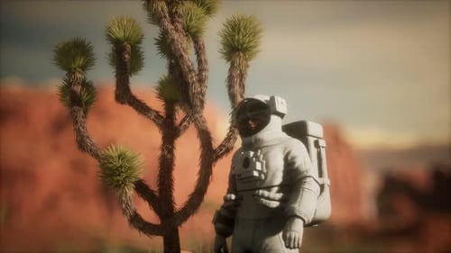 Astronauth in the High Desert of Nevada