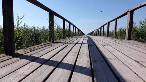 Wooden Bridge With Railings