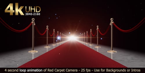 Red Carpet Loop