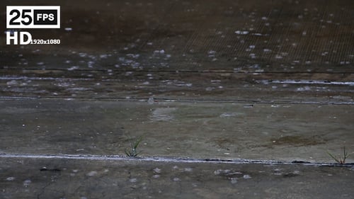 Rain Falling on Concrete with Grass Sprouts