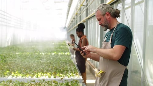 Workers Use Tablets in a Bright Greenhouse