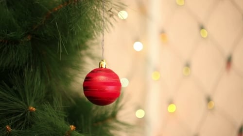 Christmas Ornament Hanging on Tree Branch with Lights