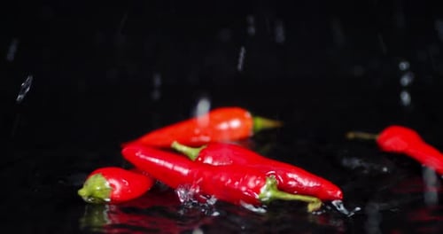 Fresh Red Chili Peppers with Water on Black