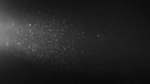 Organic Dust 28