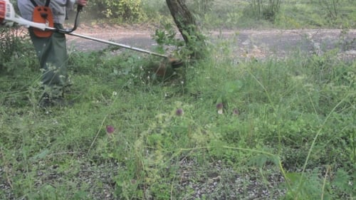 Gärtner mäht den Rasenmäher Grünes Gras