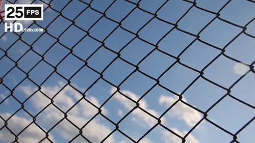 Mesh Fence
