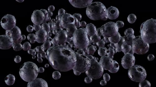 Burst of Blueberry in Black Background