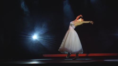 Classical Ballet Ballerina On Pointe
