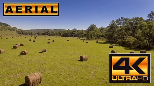 Picturesque Aerial View of Rolling Hay Field