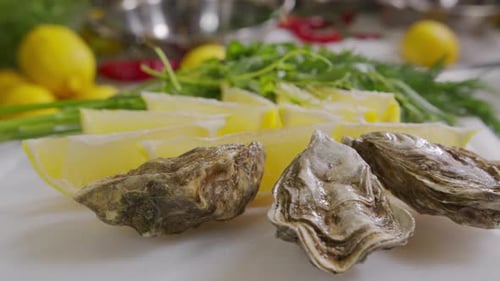 Oysters with Lemon Closeup. Fresh Oyster on Half Shell on Big Plate in Restaurant. Served Table. UHD