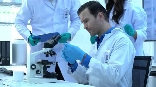 Scientists team in laboratory