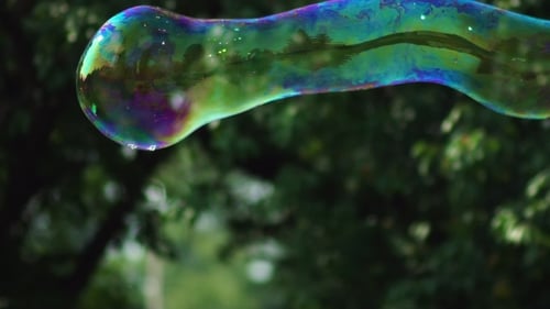 Metamorphosis Of Big Soap Bubbles In .