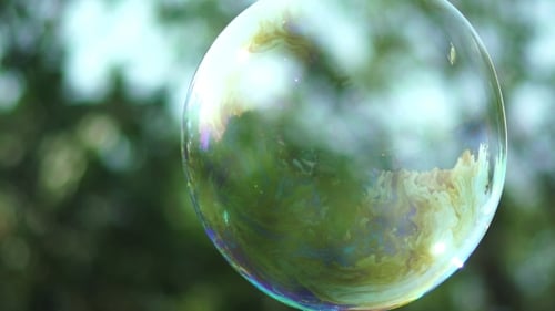 View Of Beautiful Big Soap Bubble Is Flying Near The Trees