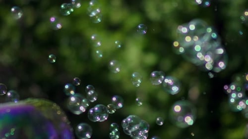 Iridescent Soap Bubbles Floating Gently in Nature