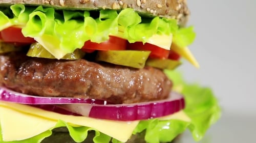 Juicy Burger Close Up Food Still Life