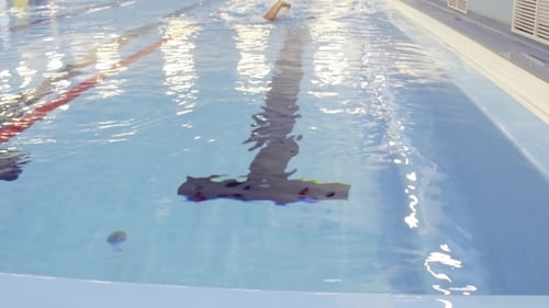 Female Swimmer Training In Swimming Pool