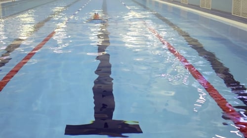 Female Swimmer Training In Swimming Pool