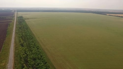 Aerial Shot Of Agricultural Grounds With Green And Black Seeded Fields, And Roads