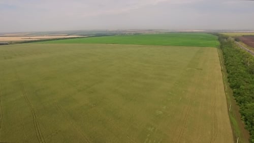 Aerial Panorama Of Agricultural Grounds With Green And Black Seeded Fields, And Roads