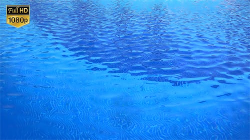 Pool Water