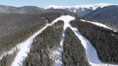 Aerial Ski Slopes with Skiers and Ski Lifts on Ski Resort. Snowy Mountain Forest