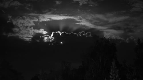 Lune nocturne se levant à l'horizon au-dessus des arbres et des nuages.