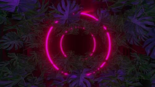 Neon Glowing Circles with Tropical Leaves Background