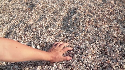 Touch The Shells