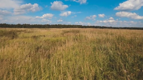 Aerial Green Field And Blue Sky With Clouds.