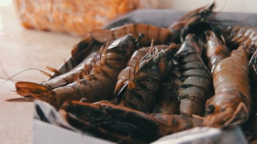 Seafood At The Fish Market