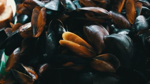 Seafood Mussels On a Plate In a Restaurant