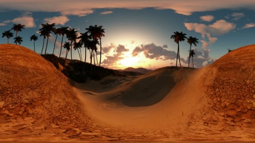Panoramic Of Palms In Desert At Sunset