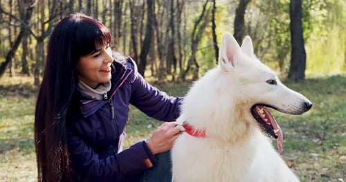 Happy Female Cheerfully Playing and Sitting with Dog in the Autumn Park. Love and Friendship with