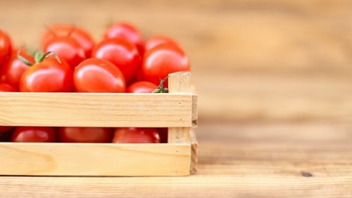 Fresh Tomatoes in Wooden Crate with Fresh Greens