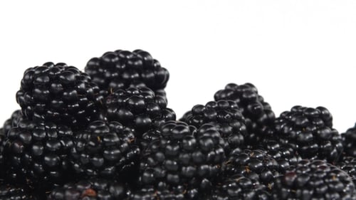 Pile of Fresh Blackberries on White Background
